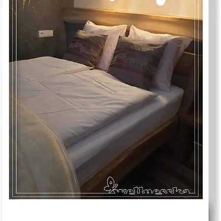 Wellnesska Дом отдыха Выхне