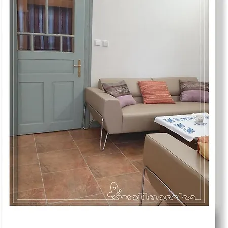 Wellnesska Casa de Férias Vyhne