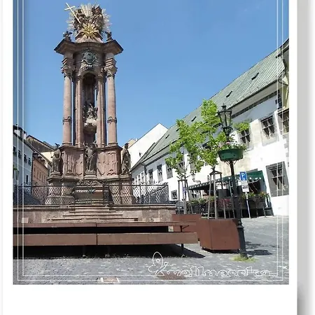 Wellnesska *