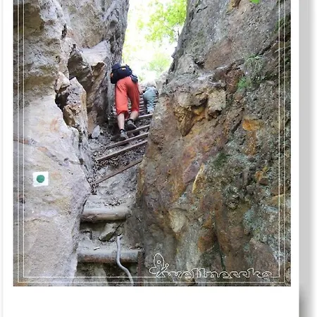 Wellnesska Casa de Férias
