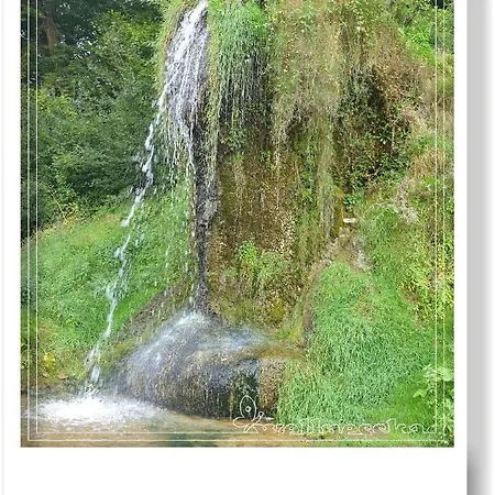 Wellnesska Дом отдыха Выхне