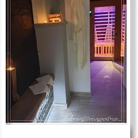 Wellnesska Holiday home